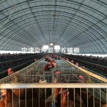 温室养殖大棚 畜牧温室牛羊棚 养殖温室大棚 智能温室大棚