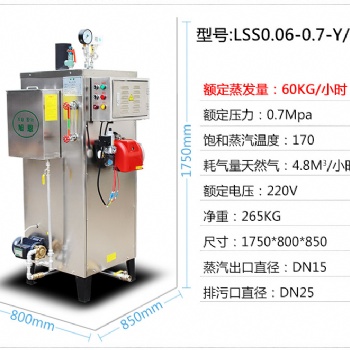 旭恩60公斤蒸汽发生器燃气蒸汽锅炉