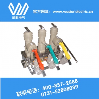 湖南哪家柱上智能真空断路器 ZW32 ZW20安全又专业？当然是威胜电气