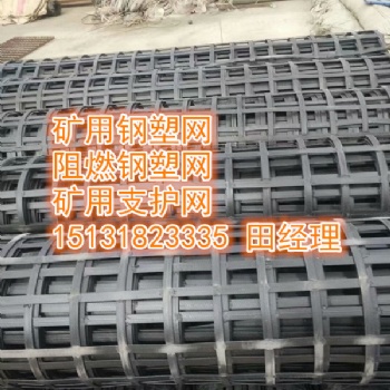 安平森旺生产钢塑护帮网，双抗网，阻燃钢塑格栅网