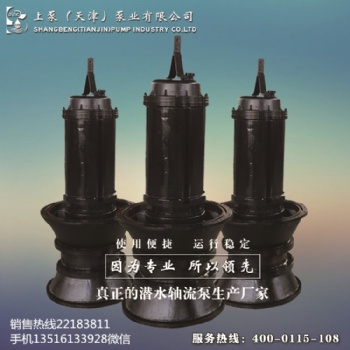 斜拉式潜水轴流泵-上泵