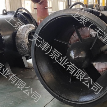 广西柳州全贯流泵大流量贯流泵