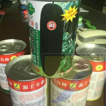 广东金记黑将军杂交黑皮冬瓜555种子