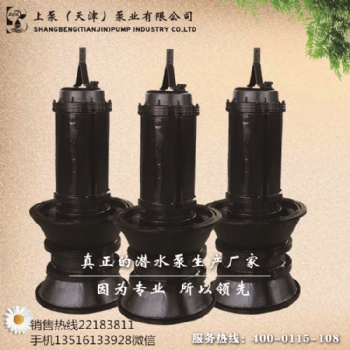 湖北自动化潜水轴流泵