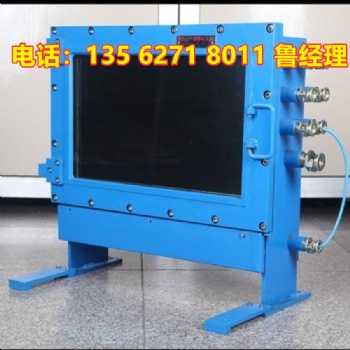 陕西XB127矿用隔爆型显示器厂家