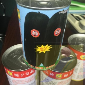 冬瓜种子：广东良种冬瓜种子99-1-50