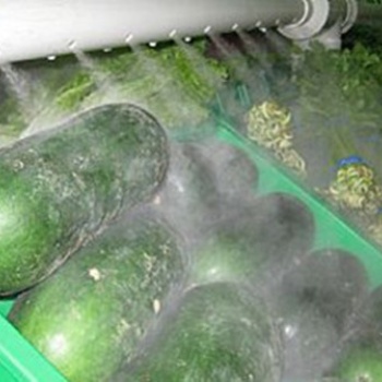 广西南宁超市蔬菜水果保鲜超声波加湿设备正雄环?？萍脊┯? width=