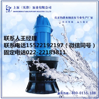 宁夏固原上泵大流量潜水轴流泵