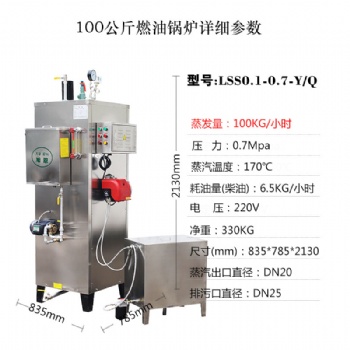 高效工业油污清洗蒸气发生器厂家