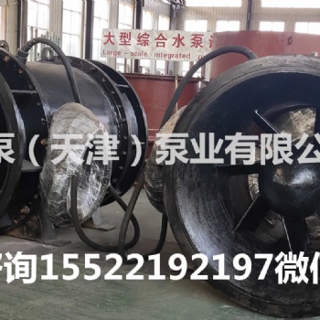 福建福州全贯流泵大流量贯流泵