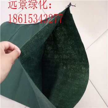 生态袋河道绿化 金华抗冲生物毯 南昌生态袋绿化 植物纤维毯复绿