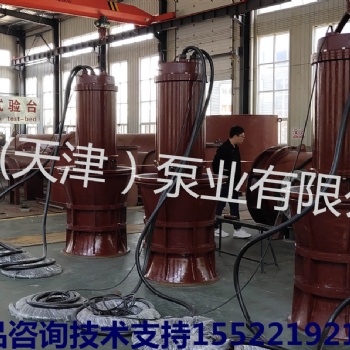 大型潜水轴流泵排水工程轴流泵