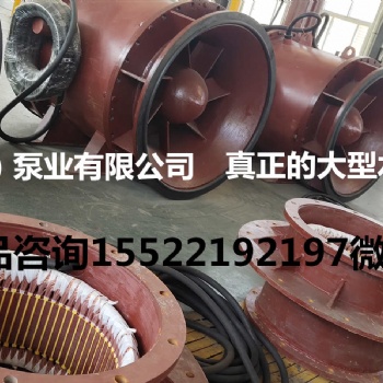 全贯流潜水泵流量大扬程低潜水贯流泵