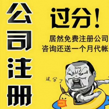 加急办理营业执照0元注册公司免费税务咨询
