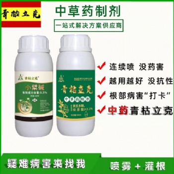 半夏的根腐病死棵细菌软腐病的治疗好办法