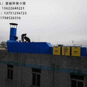 废气处理成套设备翌骏环保工业有机废气净化处理