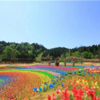 景区七彩风车节活动出售风车节设计厂家全国策划布展