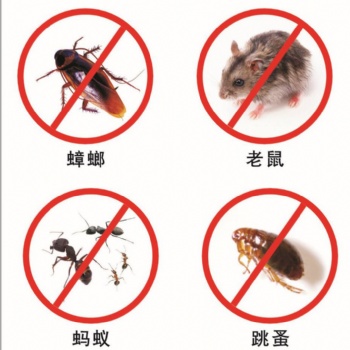 海南害虫带来的严重后果
