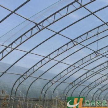 丞昊农业 双膜骨架大棚 葡萄种植大棚 C型钢骨架温室 西瓜种植棚