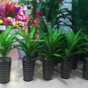 仿真巴西铁盆栽 人造仿真植物巴西铁树