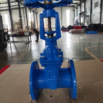 河北埃库斯Z45X-16Q明杆法兰闸阀