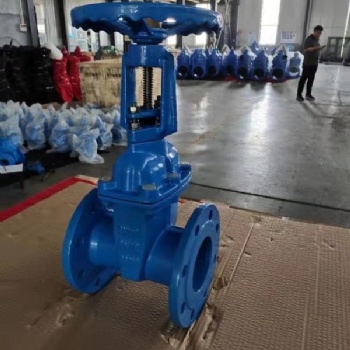 浙江?？馑筞41X明杆弹性座封闸阀