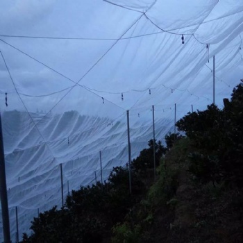 会昌脐橙防虫网茂伦新料加厚网工厂直发好网结实耐用质量好