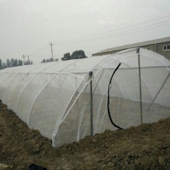 新乐蚂蚱养殖网棚工厂直接批发定做成品加厚好网棚直发用户