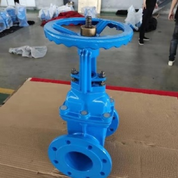 上海?？馑筞41X明杆弹性座封闸阀