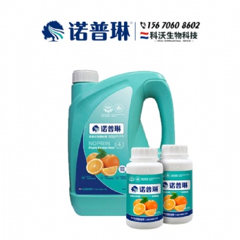 红肉脐橙预防大小年见效快的法子快来诺普琳看看