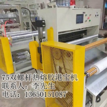 港宝设备，港宝胶片机，鞋材港宝机，双螺杆港宝机