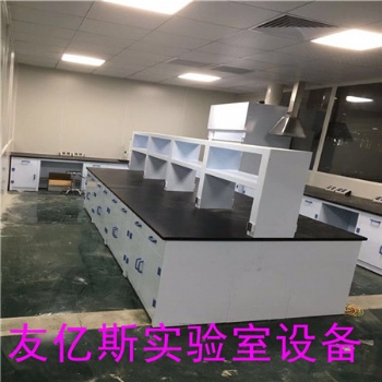 定做实验室中央台.实芯理化板实验桌.简易型实验台厂家