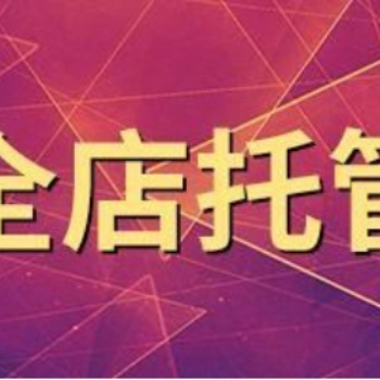 东莞阿里代运营 淘宝装修
