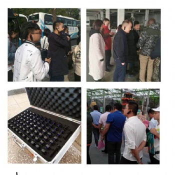 团队一对多讲解系统导游讲解器耳机出租