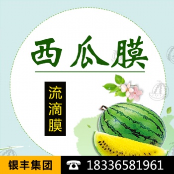 西瓜膜供应商——银丰塑料出售优质农用膜