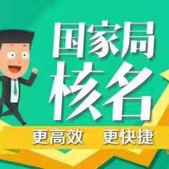 办理**核名流程 办理**核名流程