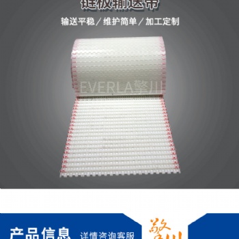 厂家防滑耐碱链板输送带抗氧化塑料日用化工机械传送带定制