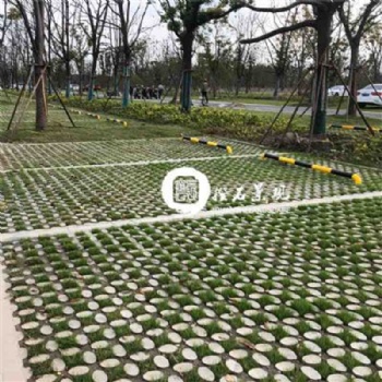 生态植草地坪模具价格，承揽植草地坪工程施工
