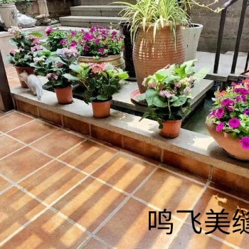 美缝剂批发零售，济南鸣飞美缝，专业美缝！
