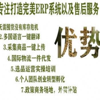 乐境通无货源跨境电商运营培训