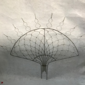 紫薇花瓶园林植物造型精品造型骨架美化庭院绿化城市