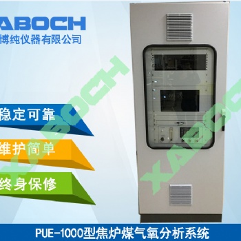 焦炉煤气有毒可燃爆炸气体监测分析仪器