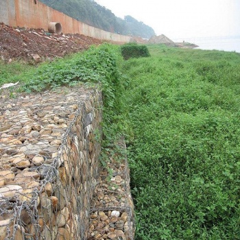 河道固滨笼厂家 堤坡防护固滨笼价格