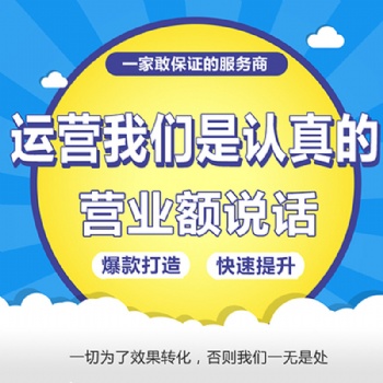 济南淘宝代运营京东管理天猫托管拼多多外包网店推广