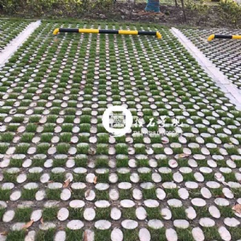 高承载植草地坪模具 江苏现浇植草地坪施工