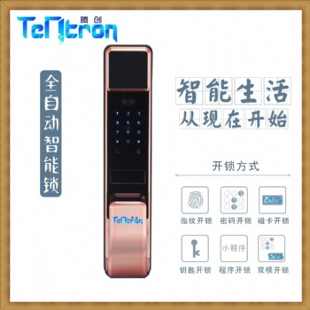 腾创智能全自动门锁A19锁体通用两端锁体