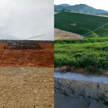 高速公路边坡绿化-山体绿化客土喷播-挂网客土喷播