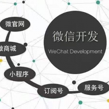 互联网发展技术支持、公众号小程序发展规划设计制作