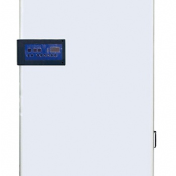 人工气候箱BRPX-250H
