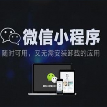 网站开发、公众号小程序定制设计开发、商标注册